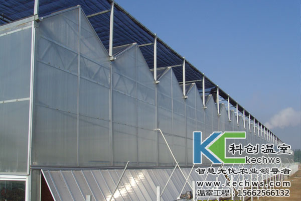 無土栽培，無土栽培技術，無土栽培設備