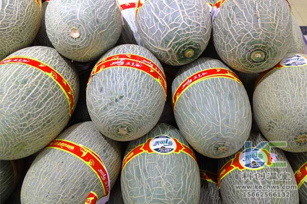 無土栽培，無土栽培技術，無土栽培設備
