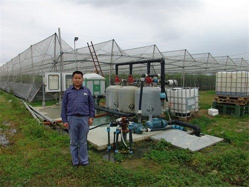 無土栽培，無土栽培技術，無土栽培設備