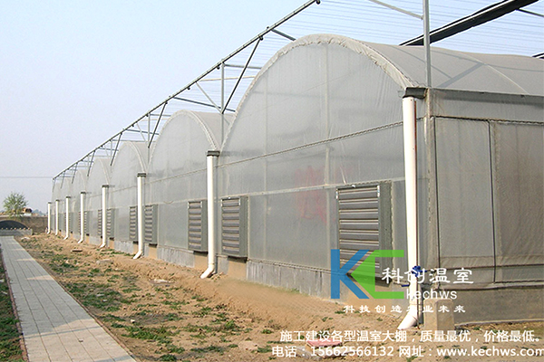 無土栽培，無土栽培技術，無土栽培設備