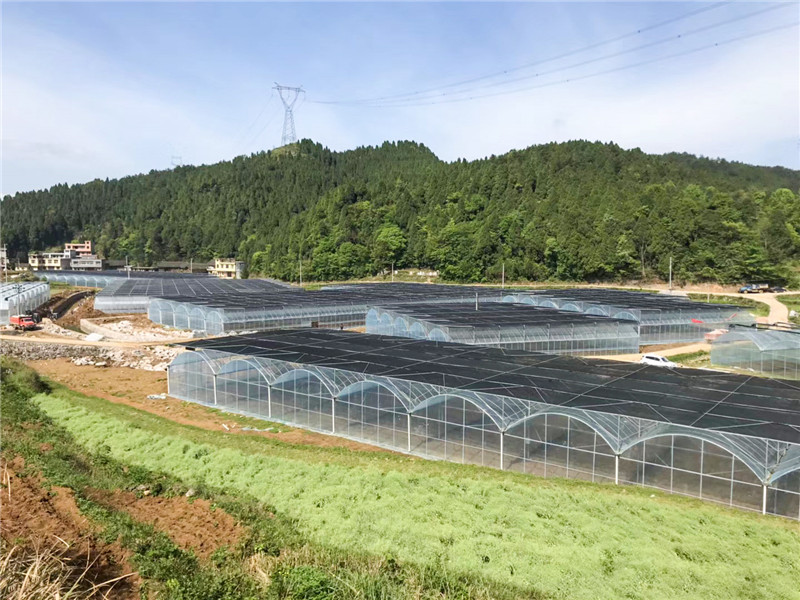 無土栽培，無土栽培技術，無土栽培設備