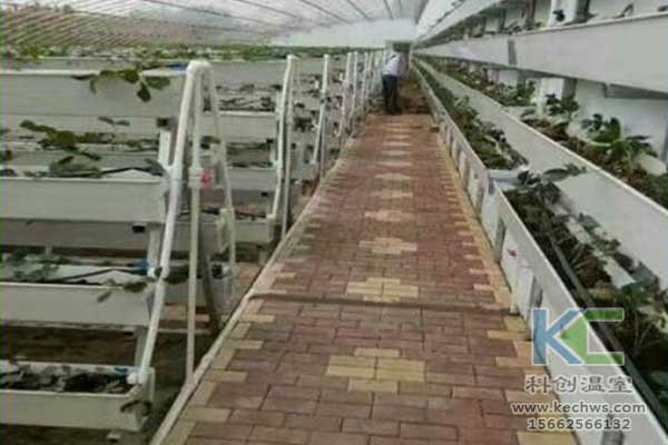 無土栽培，無土栽培技術，無土栽培設備