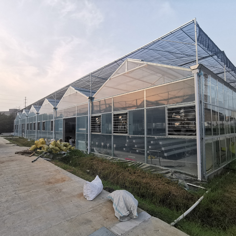 無土栽培，無土栽培技術，無土栽培設備