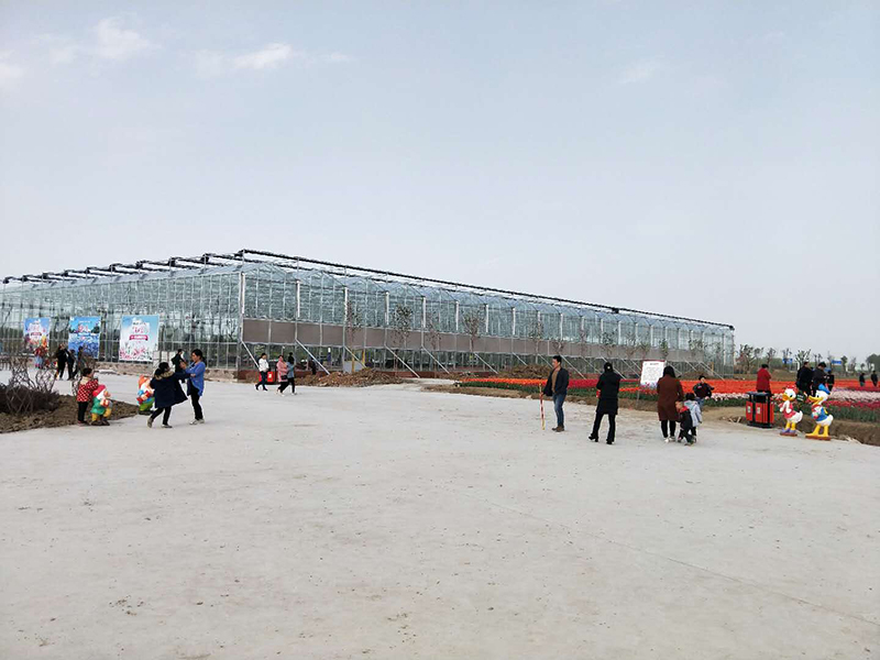 無土栽培，無土栽培技術，無土栽培設備