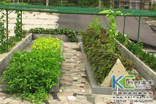 無土栽培，無土栽培技術，無土栽培設備
