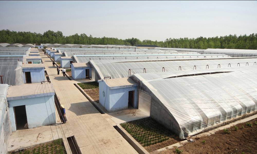 無土栽培，無土栽培技術，無土栽培設備