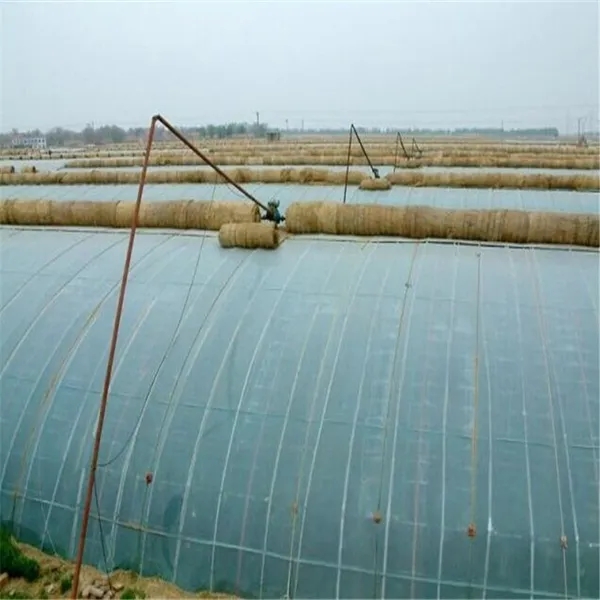 無土栽培，無土栽培技術，無土栽培設備