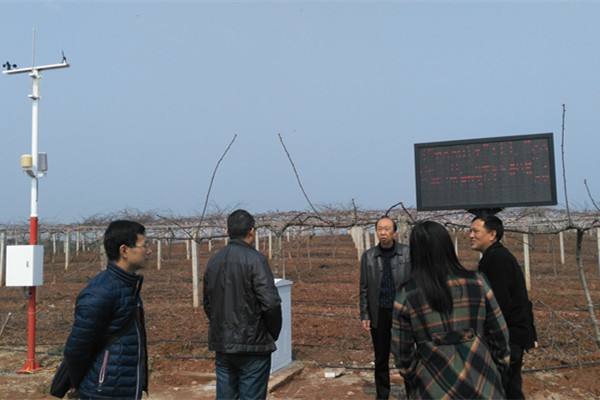 無土栽培，無土栽培技術，無土栽培設備