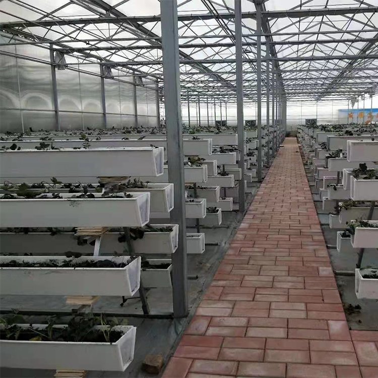 無土栽培，無土栽培技術，無土栽培設備