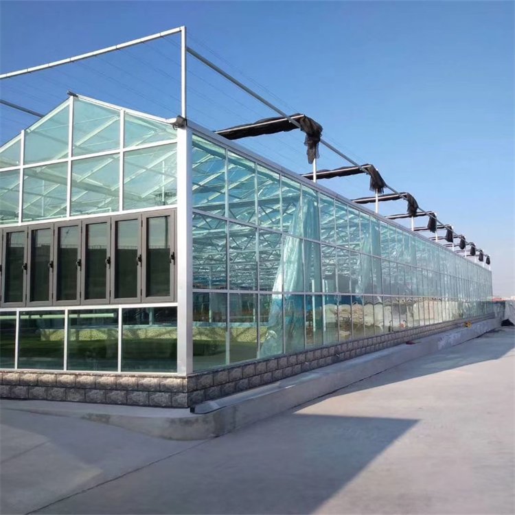 無土栽培，無土栽培技術，無土栽培設備