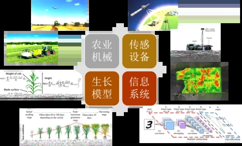 無土栽培，無土栽培技術，無土栽培設備