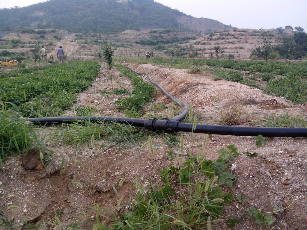 無土栽培，無土栽培技術，無土栽培設備